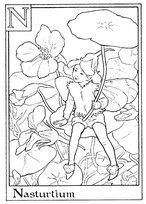 coloriage fee nasturtium